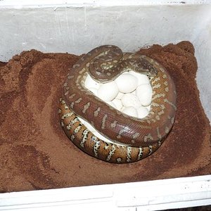 P1030278 (Small).JPG