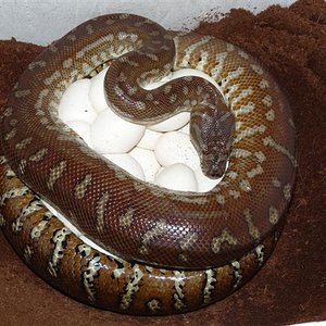 P1030280 (Small).JPG