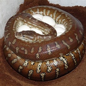 P1030281 (Small).JPG