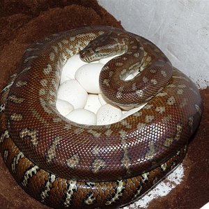 P1030283 (Small).JPG