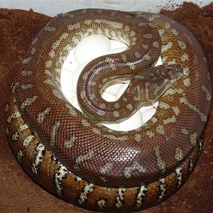 P1030284 (Small).JPG