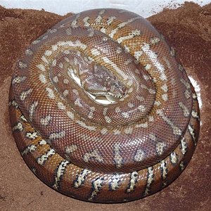 P1030288 (Small).JPG