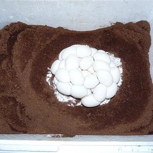 P1030290 (Small).JPG