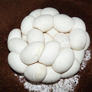 P1030292 (Small).JPG