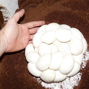 P1030293 (Small).JPG