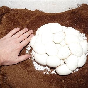 P1030295 (Small).JPG