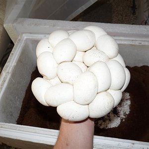 P1030297 (Small).JPG