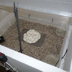 P1030301 (Small).JPG