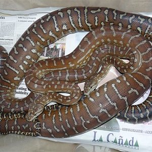 P1030274 (Small).JPG