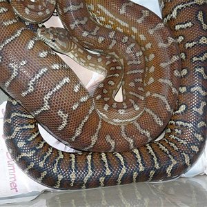 P1030276 (Small).JPG