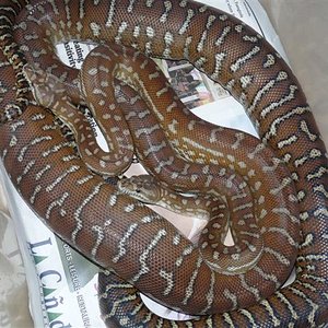 P1030277 (Small).JPG