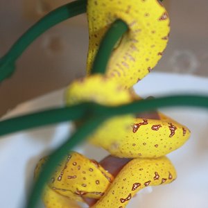 33 primera comida [1024x768].JPG