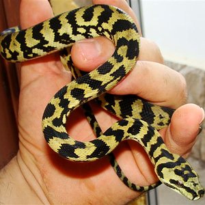 DSC02043 (Small).JPG