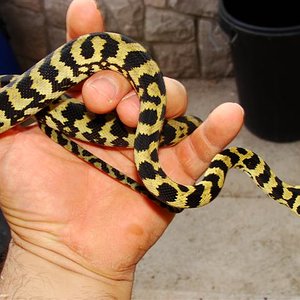 DSC02040 (Small).JPG