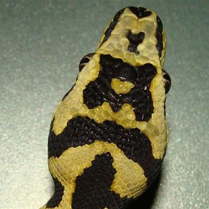 DSC02045 (Small).JPG