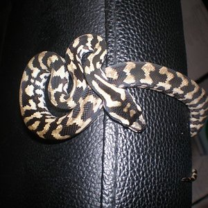 P8040176 [800x600].jpg