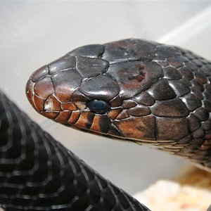 IMG_3609 (Large).JPG