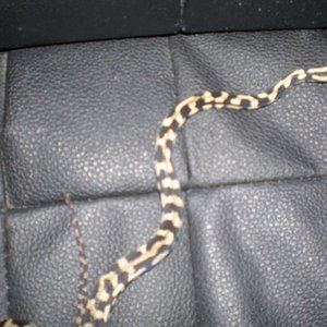 P8220188 [800x600].jpg