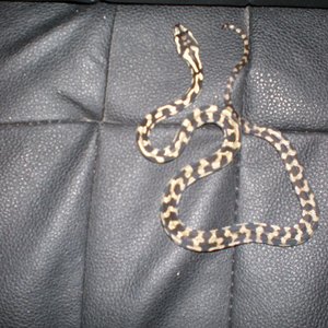 P8220190 [800x600].jpg