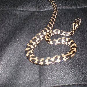 P8220187 [800x600].jpg