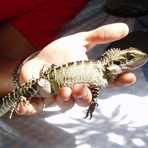 P9230030 (Small).JPG