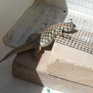 SDC10184 (1024x768).jpg