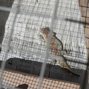 SDC10185 (1024x768).jpg