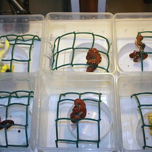 Grupo comiendo [800x600].jpg