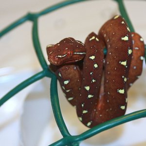 Mv7-10 [800x600].jpg