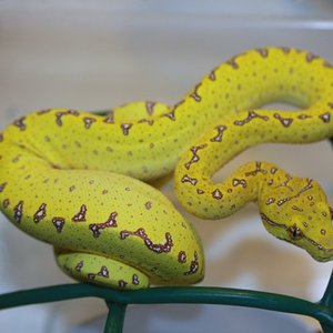 Mv2-10 [800x600].jpg