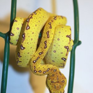 Mv4-10 [800x600].jpg