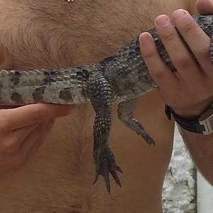 Copia de 31082010119.jpg