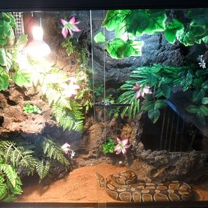 terrario.jpg