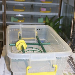 contenedor para babys f2 [800x600].jpg