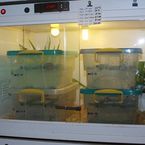 IMG_0440 [800x600].jpg