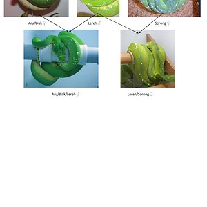 proyecto 4-2011 - copia-001.jpg