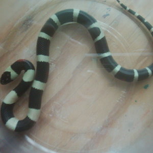 cumpleaños 8 005.jpg