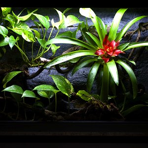 Copia de _DSC4348.jpg