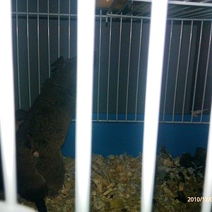 con las peques 22222.jpg