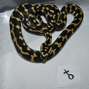 DSC_0014 [800x600].jpg