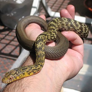 IMG_1095 (Medium).JPG