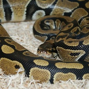 DSC03613 (Large).JPG