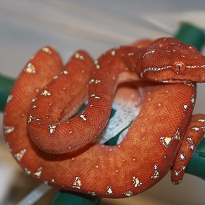 mv5-01-2010 [1024x768].JPG