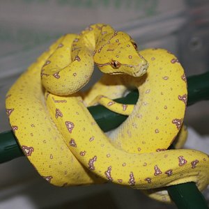 mv2-01-2010 [1024x768].JPG