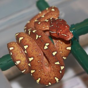 mv6-01-2010 [1024x768].JPG