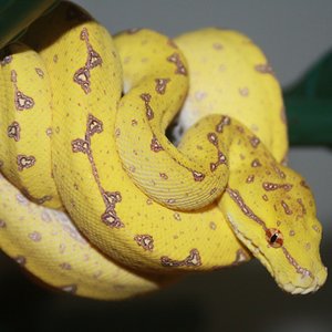 mv4-01-2010 [1024x768].JPG