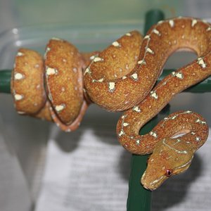 mv7-01-2010 [1024x768].JPG