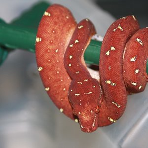 mv3-01-2010 a [1024x768].JPG