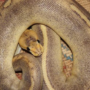 DSC00581 (Small).JPG