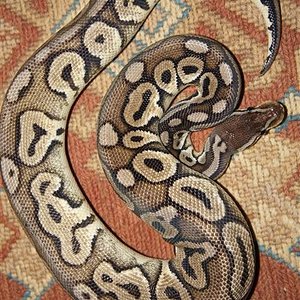 DSC00591 (Small).JPG